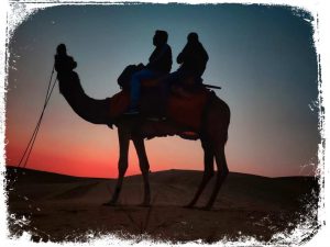 qual significado de sonhar montado em camelo
