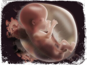 O que significa sonhar com fetos
