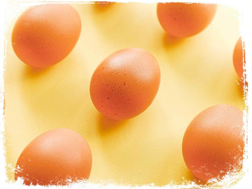 O que pode significar Sonhar com Pé de Galinha? Veja aqui!