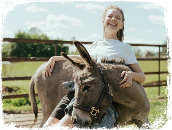 sonhar que monta feliz em um burro