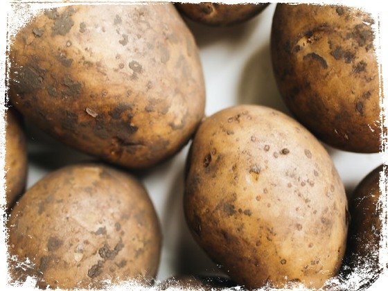 sonhar com batata sem descascar