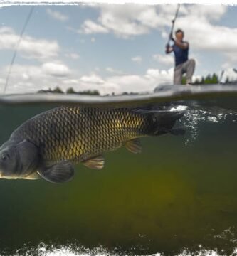 sonhar que está pescando