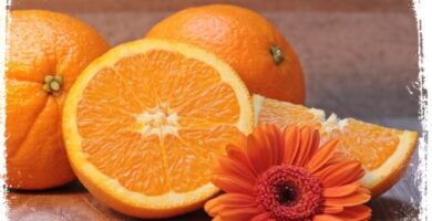 significado de sonhar com laranjas