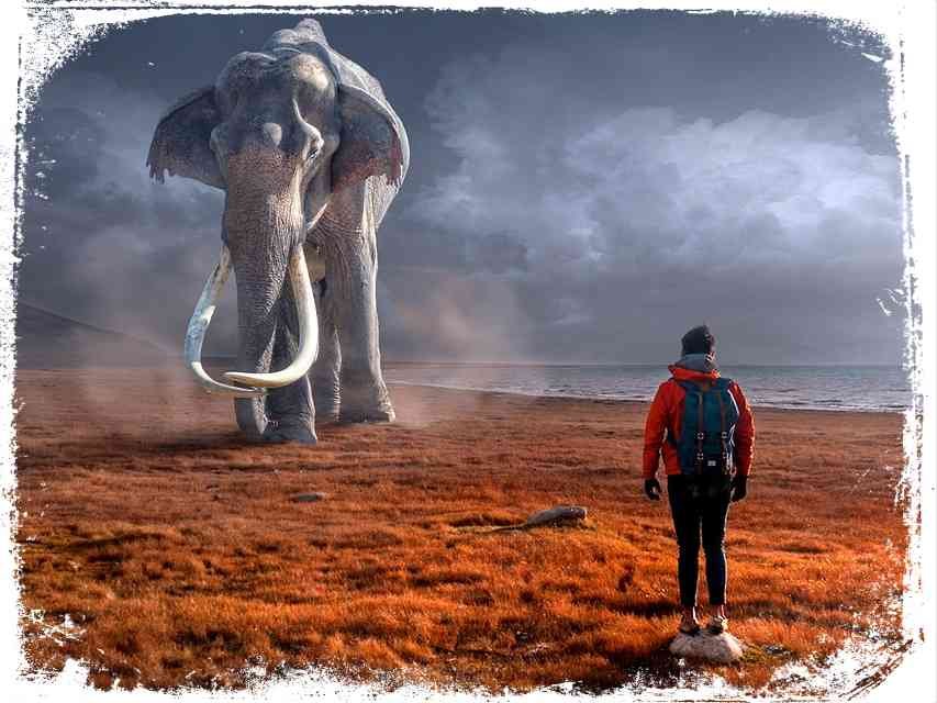 porque Sonhar com elefante que te persegue