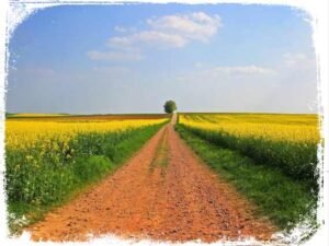 Sonhar com Estrada de Terra: Esse sonho É Bom ou Ruim?